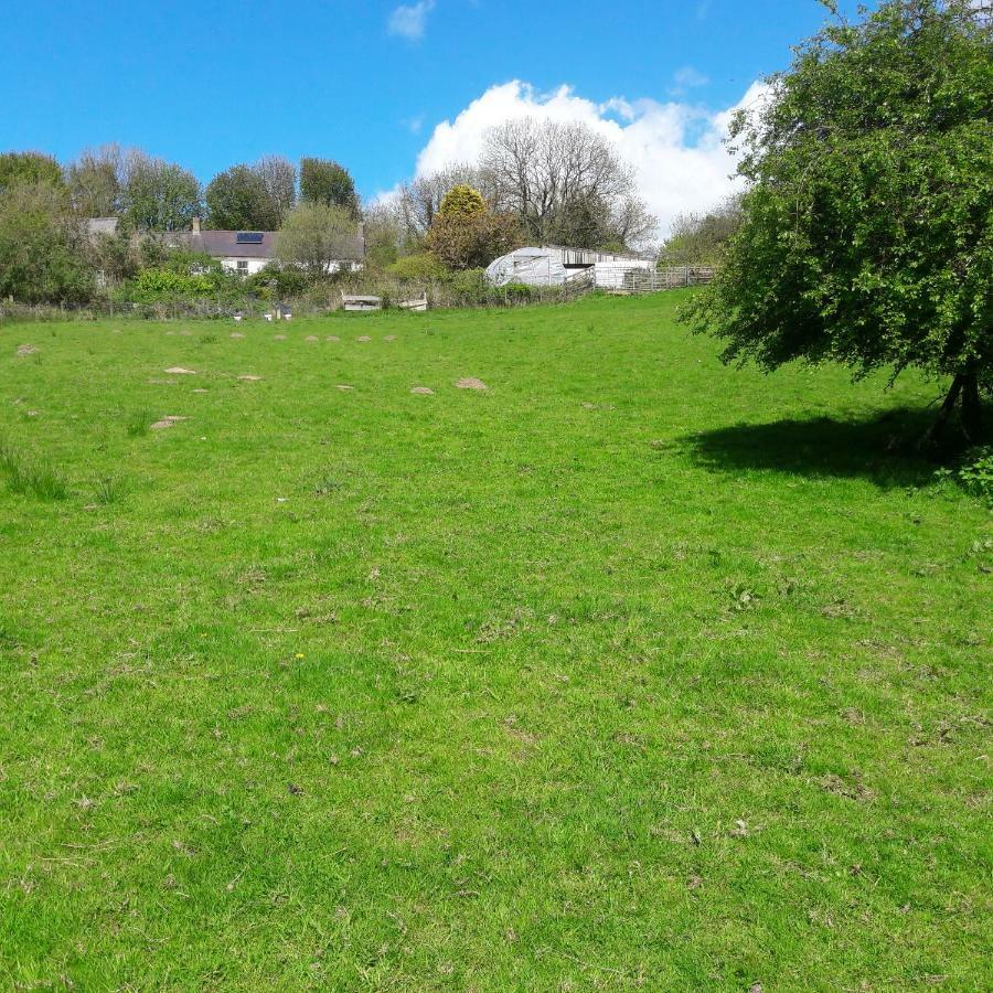 Gernos Farmhouse Llandysul Eksteriør bilde